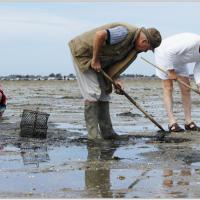 Peche-aux-Coquillages-002